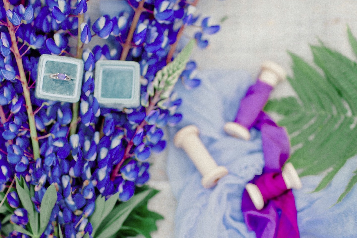 Бархатный цвет люпинов: стилизованная фотосессия Лианы и Андрея